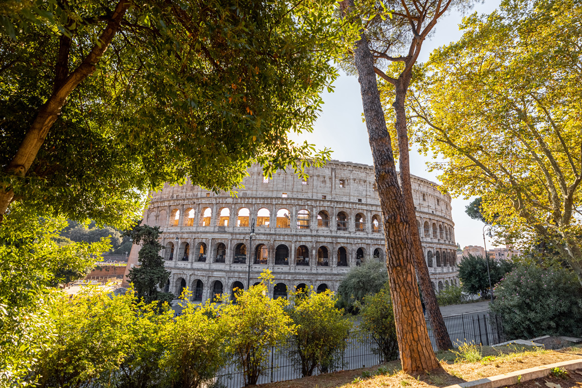 Visita Guidata Privata al Colosseo e Foro Romano